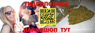 прущие крисы Ирбит