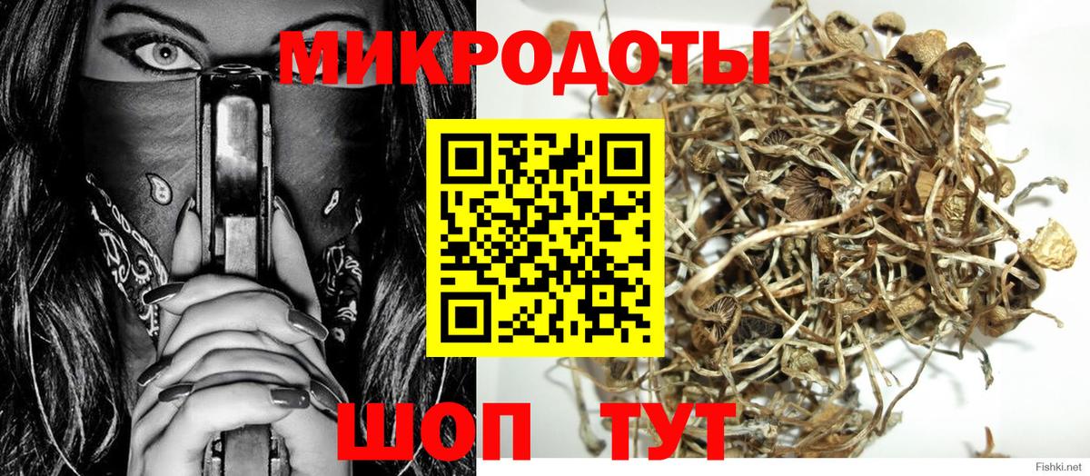 Галлюциногенные грибы Cubensis  Галлюциногенные грибы Cubensis  Вход с VPN  Дятьково 