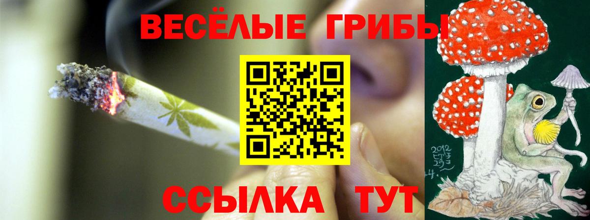 Галлюциногенные грибы GOLDEN TEACHER Дятьково